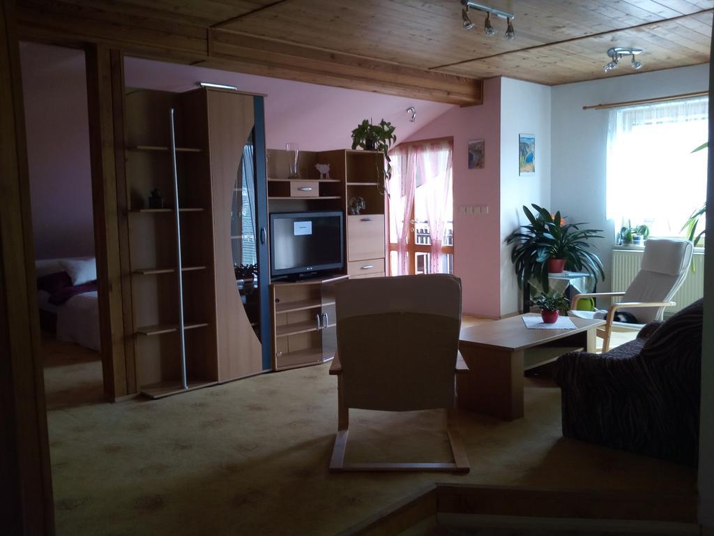 Penzion Lida Apartment Srbsko Bagian luar foto