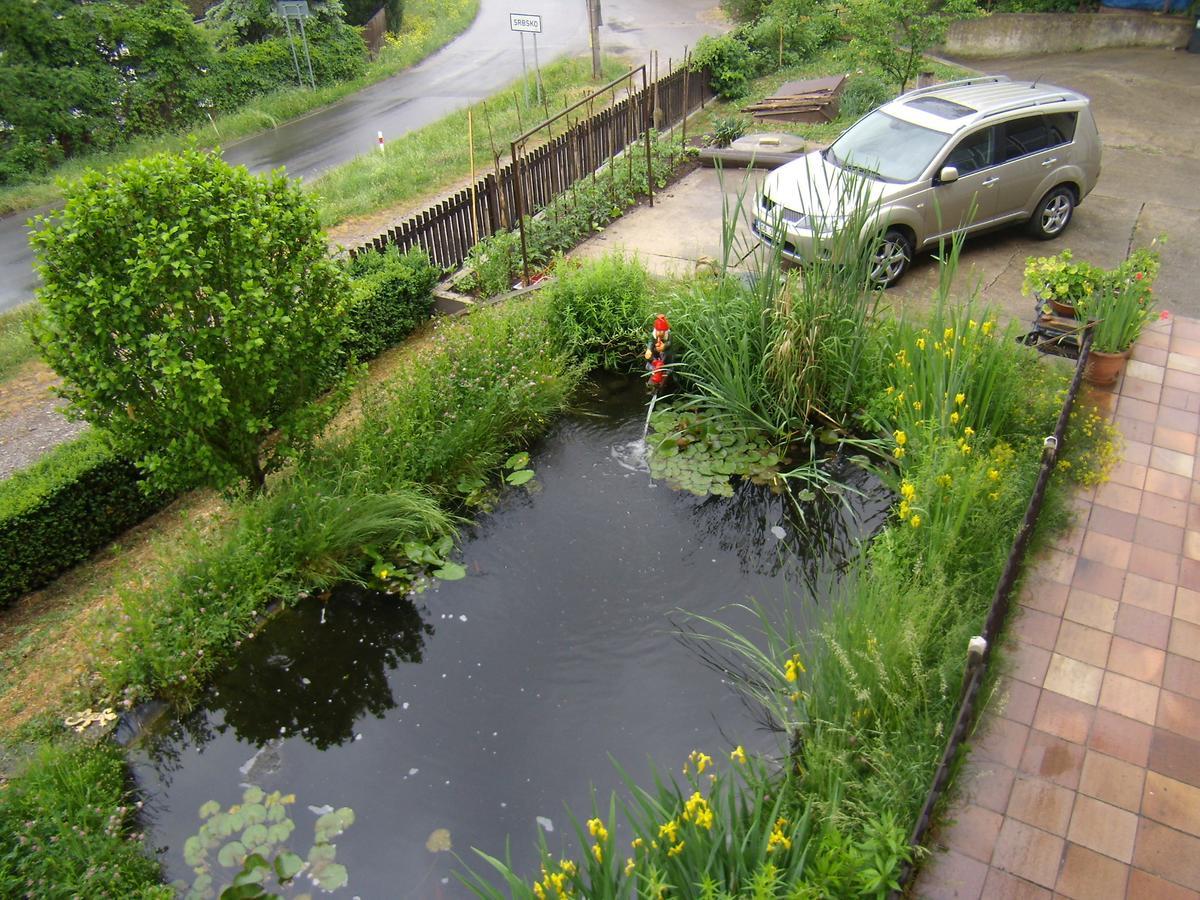 Penzion Lida Apartment Srbsko Bagian luar foto